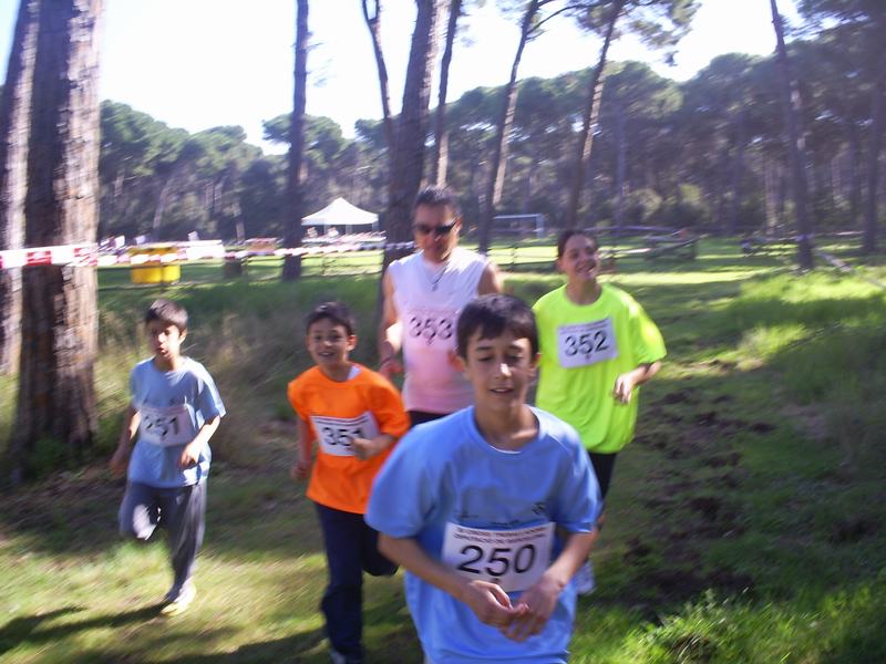 DIPUTACI&Ograve; 2010